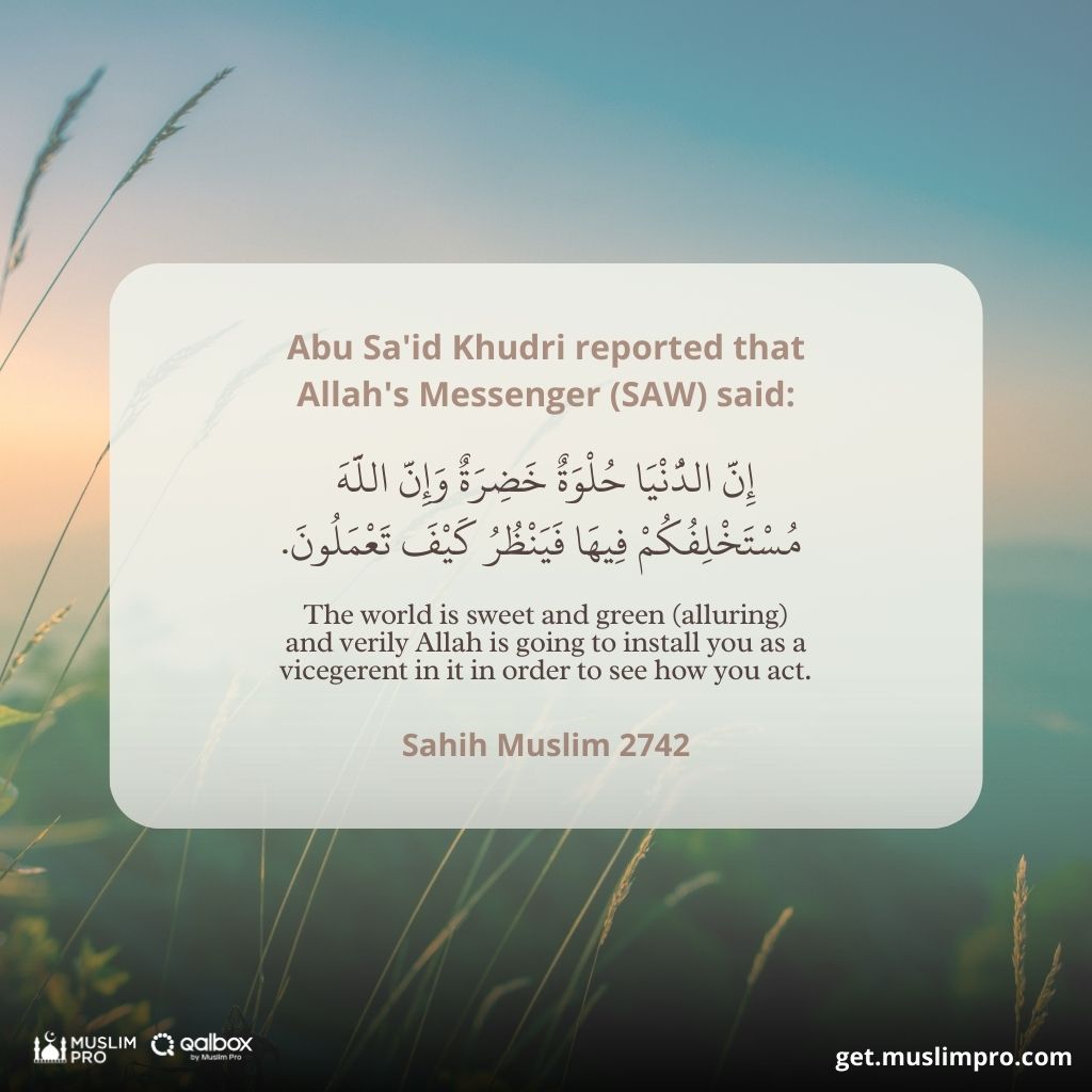 “The world is sweet and green (alluring) and verily Allah is going to install you as a vicegerent in it in order to see how you act.” – Hadith Narrated by Imam Muslim. 