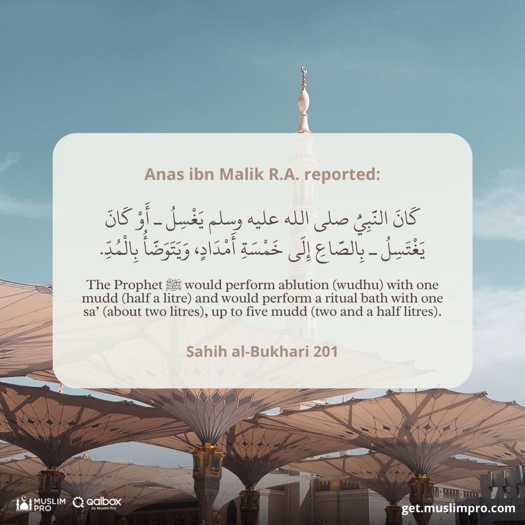 environmental article 2 Can Islamic Principles Unlock the Key to Global Sustainability?