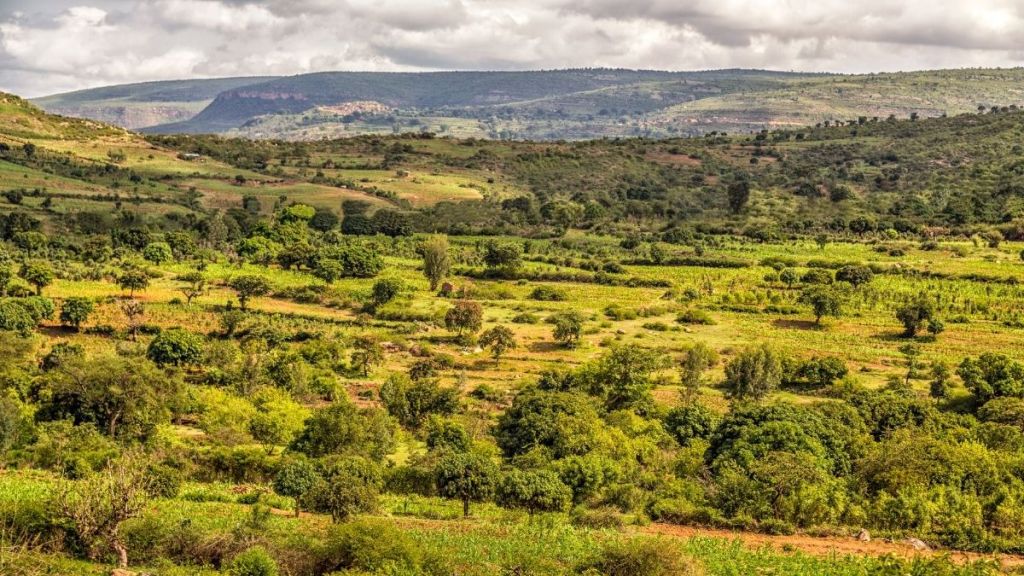 Harar 10 Islamic Cities That Inspired Our Office Space