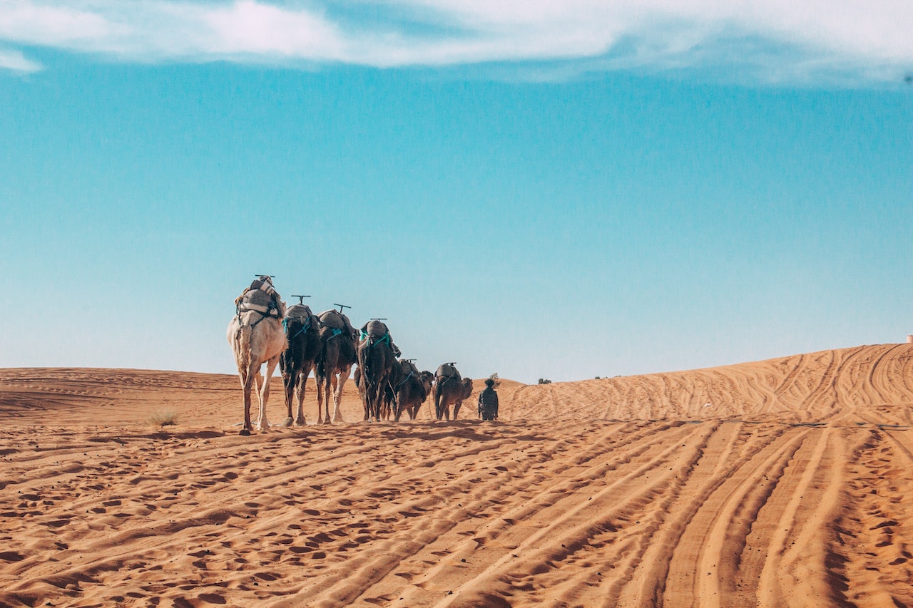 Hijrah entourage [Photo: Pexels/Abdelaziz Baba]