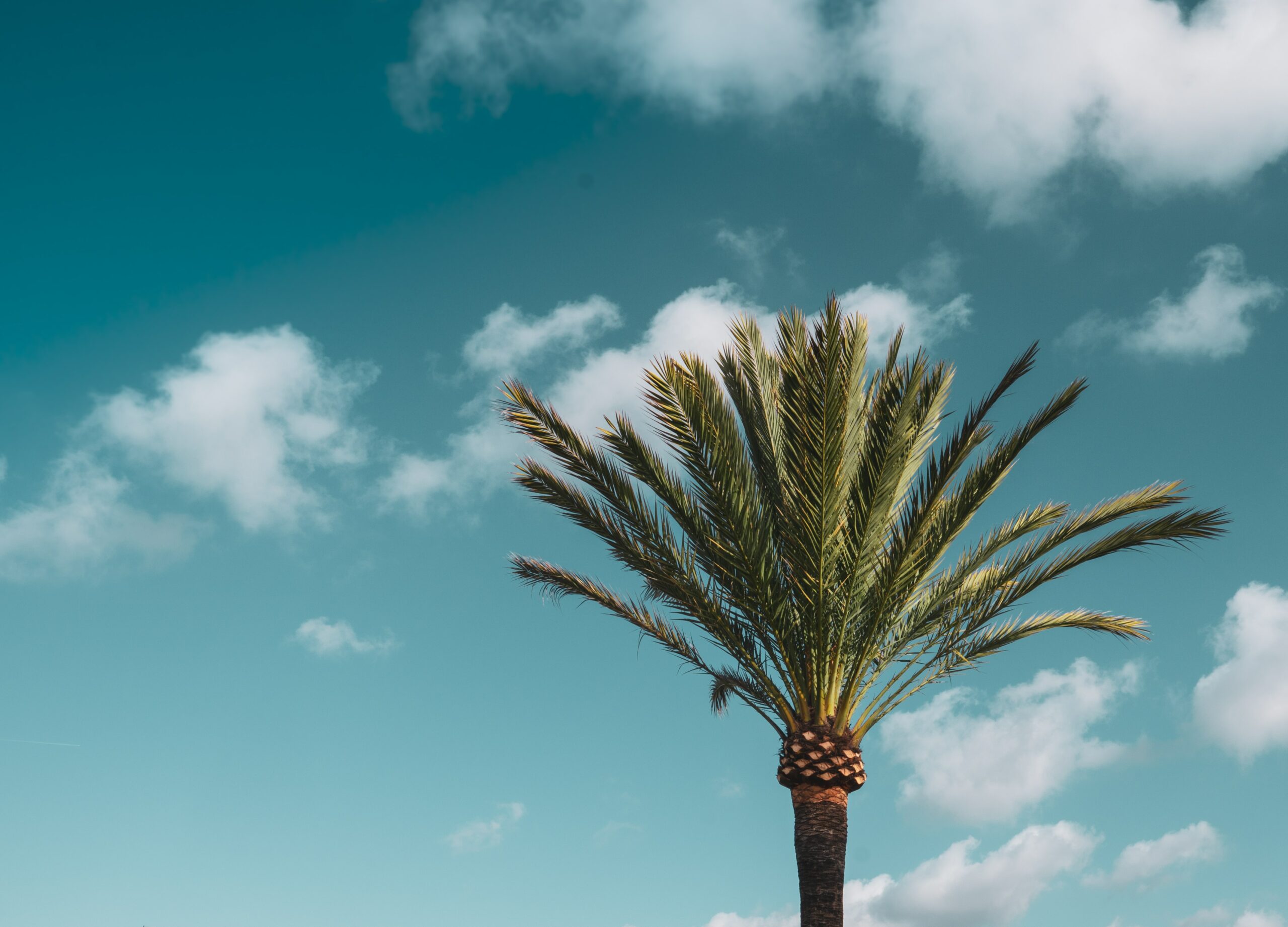 tom brunberg UOm7 9qqm4 unsplash scaled Finding Maryam a.s. in Ourselves