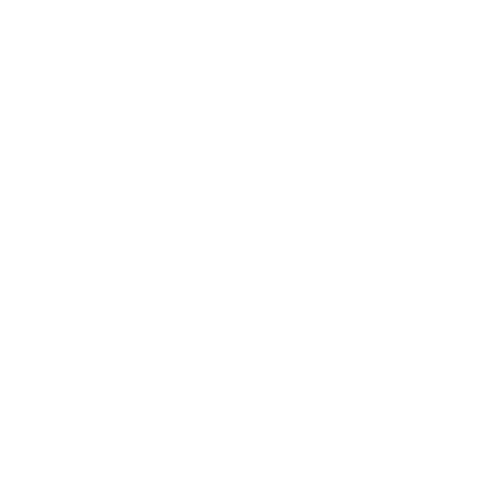 business times logo