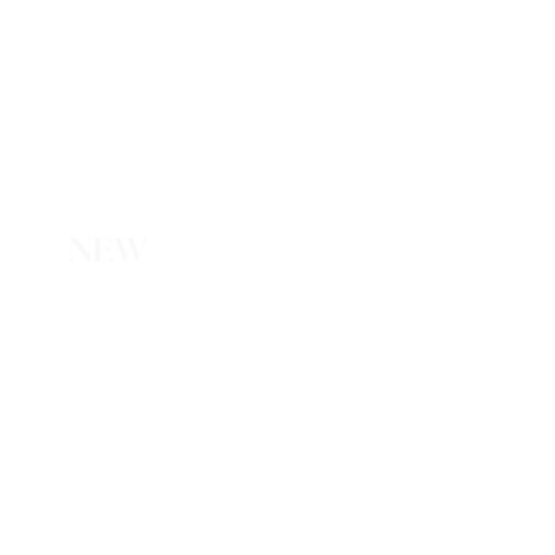 new straits times logo
