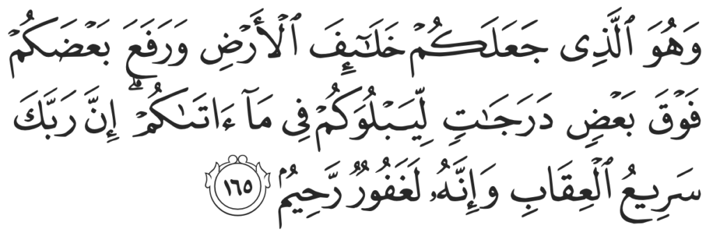 Al-An'am 165