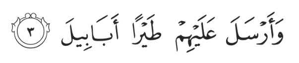 For He sent against them flocks of birds