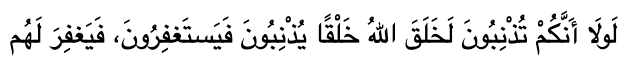 Had you not committed sins Allah would have brought into existence a creation who would commit sins A Guide to Overcoming Sin and Embracing Allah's Mercy