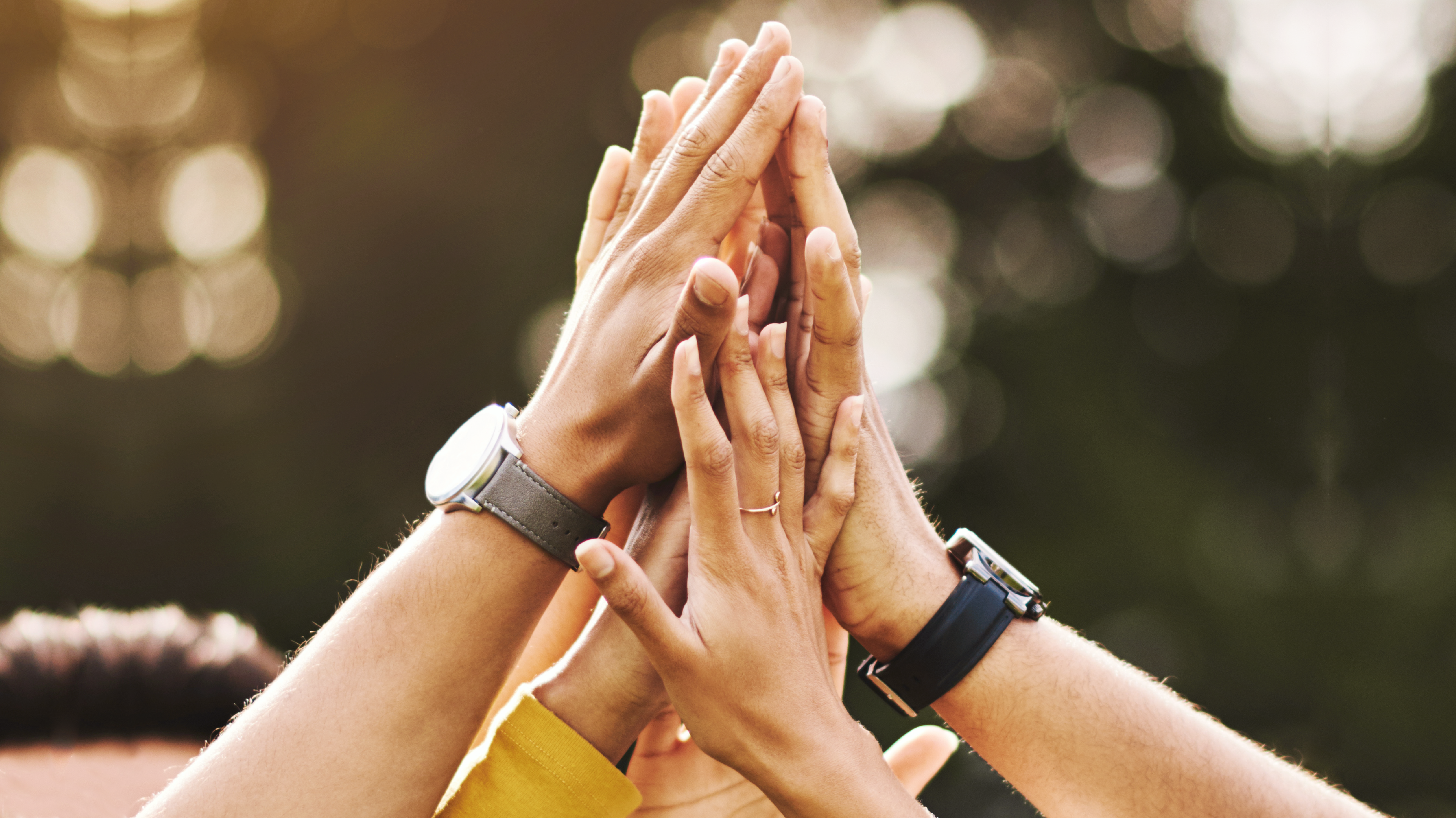 Human Solidarity Day Empowering Others Through Faith V2 EN Did You Know copy 3 Human Solidarity Day: Empowering Others Through Faith