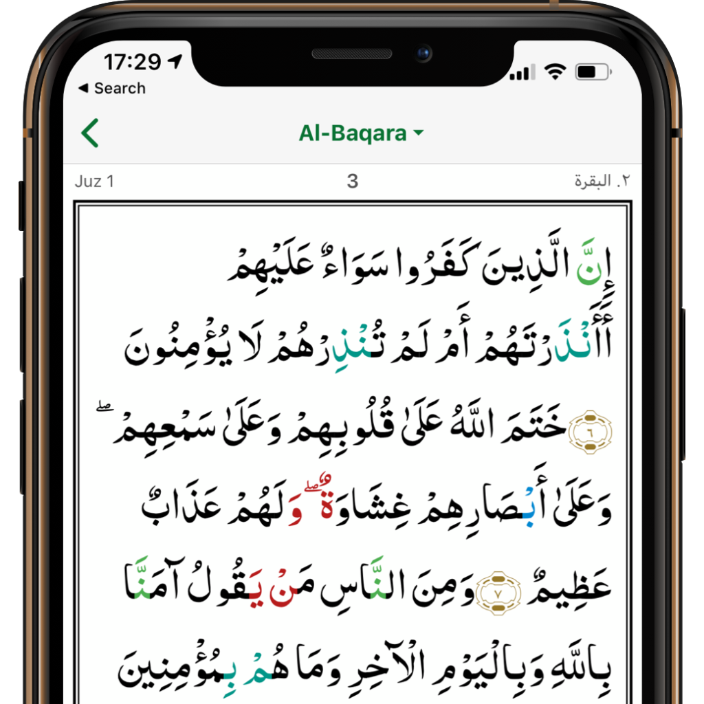 Quran in the Muslim Pro App 