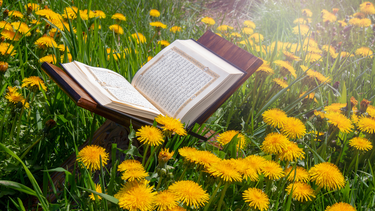 Quran Learning Journey: Embracing Unity Amidst Diversity with Surah Al-Kafirun