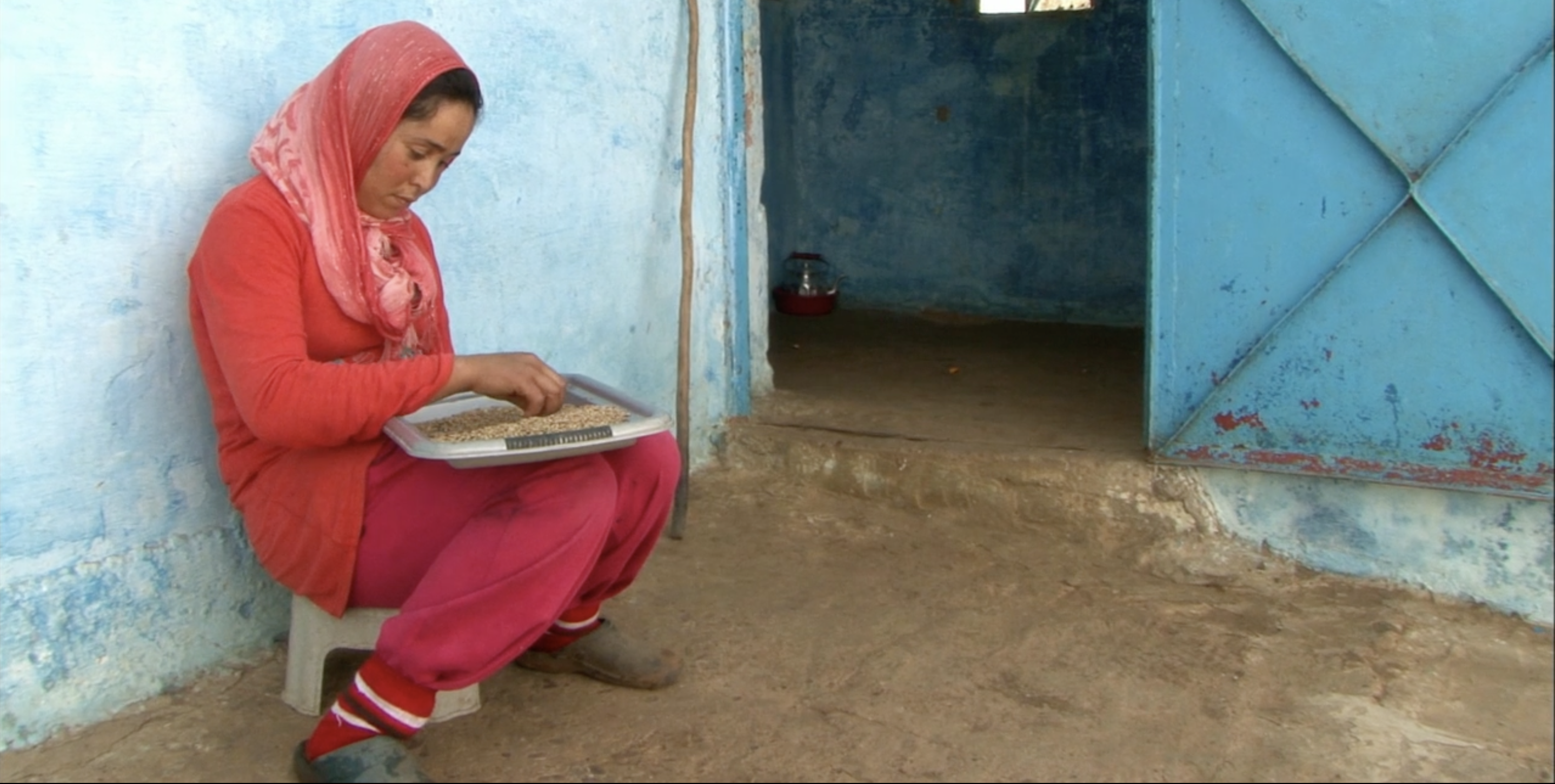 Screenshot 2023 01 06 at 8.18.31 AM Morocco: Football, Faith and Films
