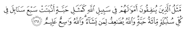 Screenshot 2023 10 20 at 7.27.35 PM 10 Quran-Inspired Ways to Assist During Times of Crisis