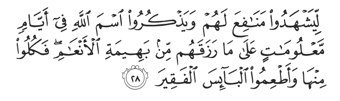 Surah Al-Hajj Verse 28