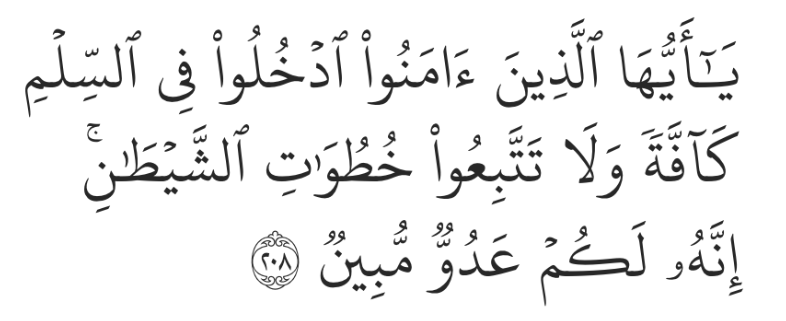 Surah Al-Baqarah 208